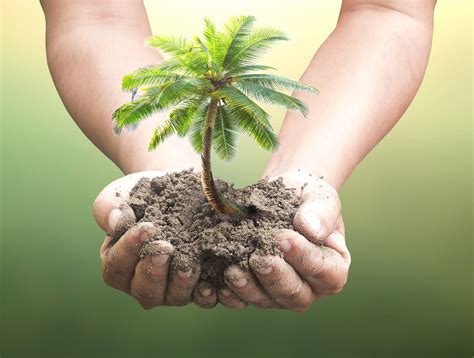 Coco Blog | Explore Coconut Benefits – Get Inspired — The Coconut Company
