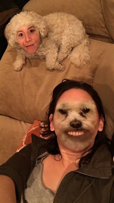 People have face swapped with their pets... | Funny face swap, Funny ...