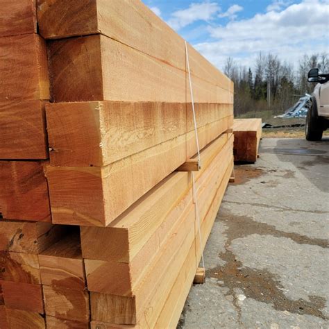 exporting douglas fir  australia