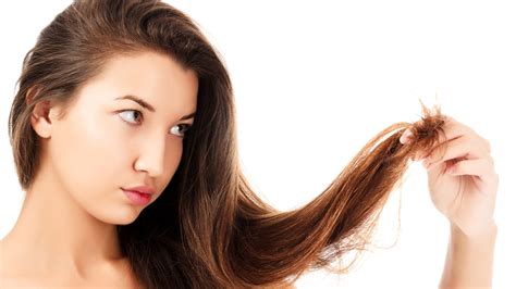 split hair ends   types   heal
