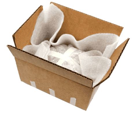 incredibly creative egg drop activity ideas teaching expertise