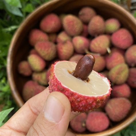 Lychee - Sweetheart Variety *Pre-Order* – Miami Fruit