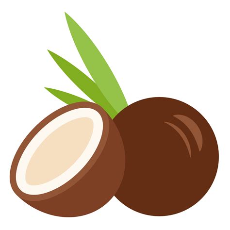 Coconut icon illustration 23608666 PNG