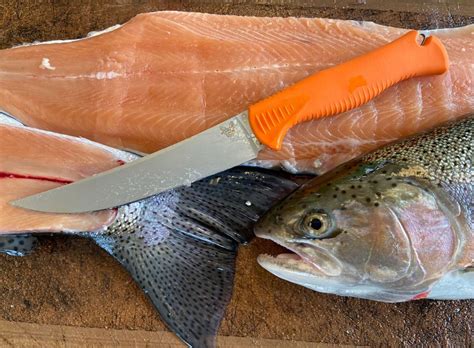 How to Fillet Trout | Outdoor Life