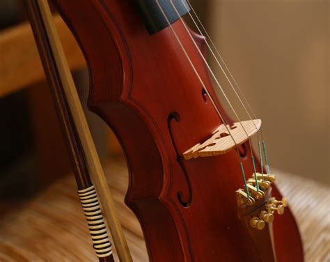 Types Of Violins With Pictures