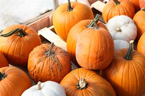 Events Archives - Rhinelander, Wisconsin : Rhinelander, Wisconsin
