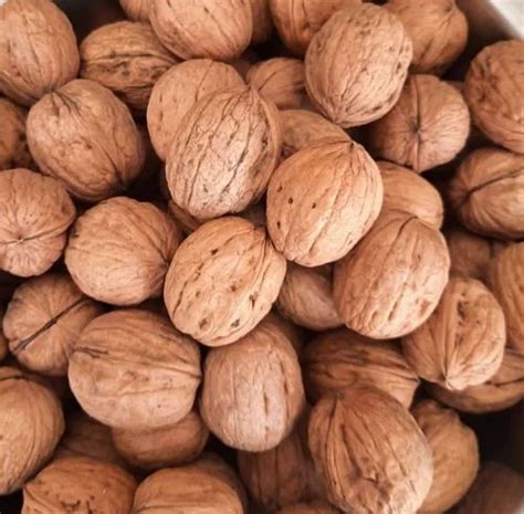 dry walnut  kg akhrot  nashik id