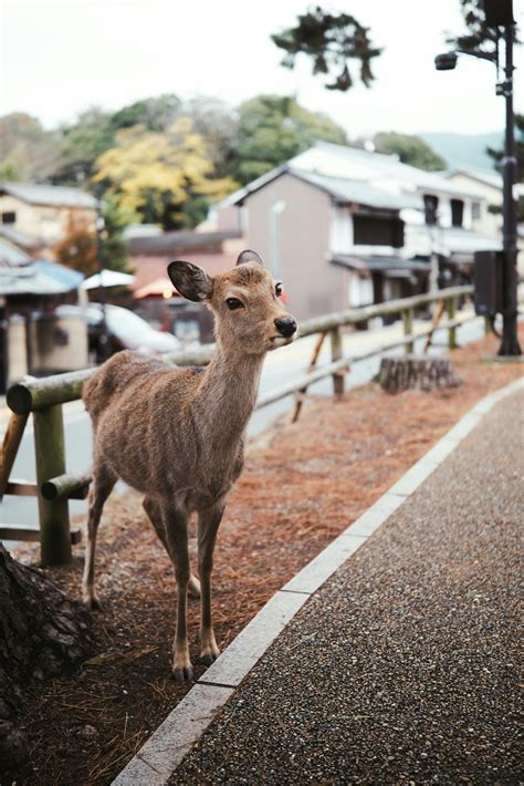 Ash+Kash+Takes+Back+Shots Photos, Download The BEST Free Ash+Kash+Takes