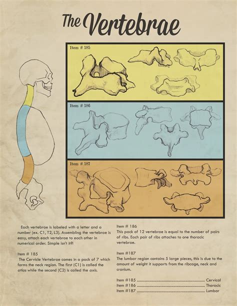 Art of Marco Rivera: The Bone Portfolio