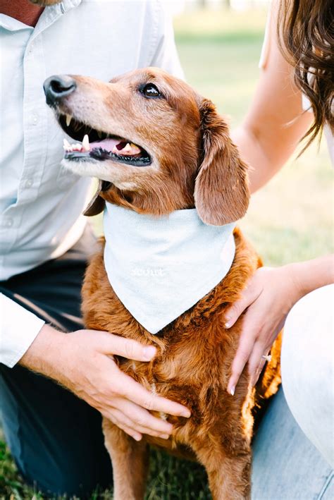 Lake Geneva Wedding Photographers — Jordan Imhoff Photography - Lake