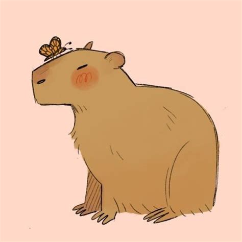 Lá capivara | Capivara, Capivara desenho, Fotos de capivara
