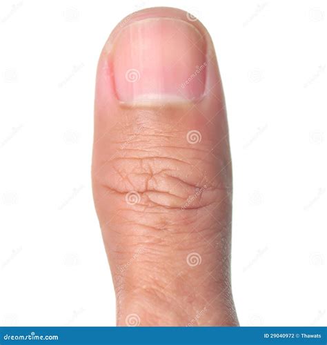 Thumb finger stock photo. Image of shot, anatomy, people - 29040972