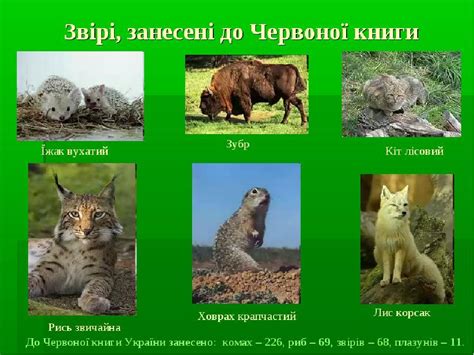 Червонокнижні рослини і тварини України