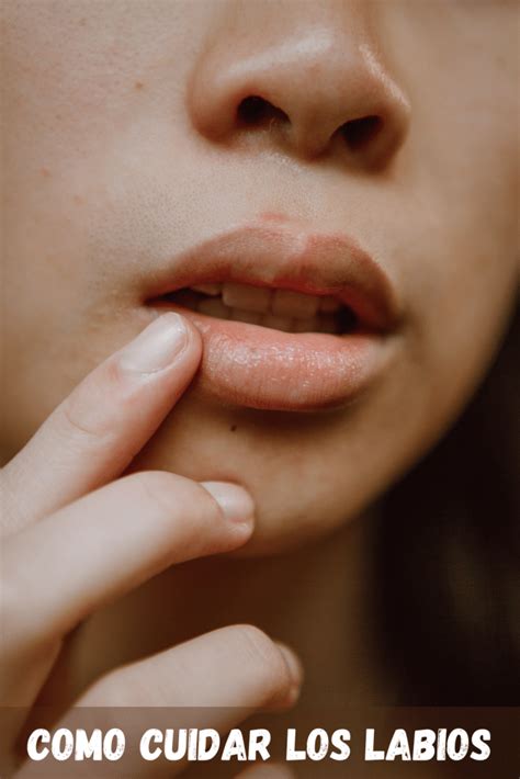 Irritação Nos Grandes Lábios Remédio Caseiro - Cómo cuidar los labios secos: 7 bálsamos y 1 remedio casero - María ...