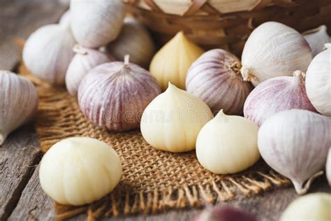 Fresh Solo Garlic- Single Garlic Clove on the Dark Background Stock Photo - Image of rustic ...