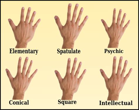 Palmistry Basics: Photo