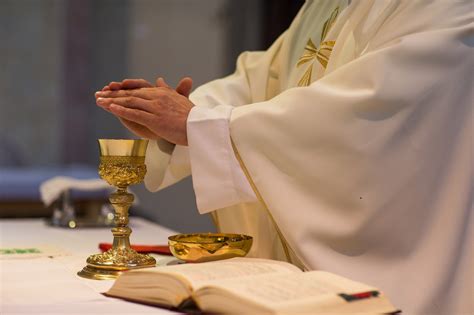 Have Holy Mass celebrated in honor of your loved one | The Divine Mercy ...