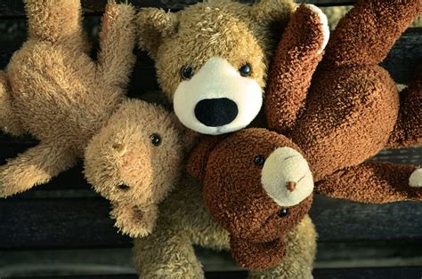 Teddy Bear Friends 4 - Free photo on Pixabay - Pixabay
