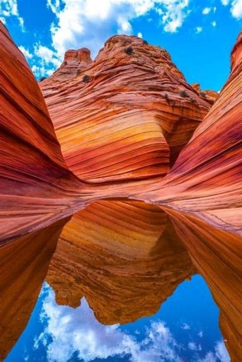 wave vermilion cliffs national monument arizona united states