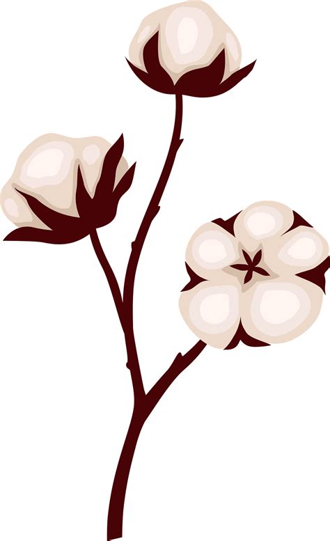 Cotton Hd Transparent, Cotton, Cotton Clipart, White PNG Image For ...