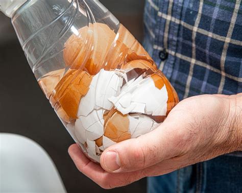 Easy Homemade Orchid Fertilizer Recipes To Bring More Blooms ...