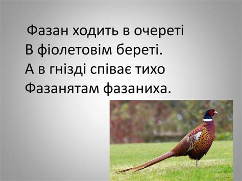 Презентація. Навчання грамоти. Буква Ф. 1 клас