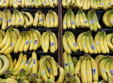 Banana Brief Definition at Harry Quintana blog