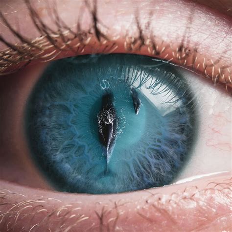 surreal photography eye