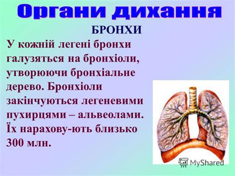 Презентация на тему: "ДИХАННЯ – це сукупність процесів, які ...