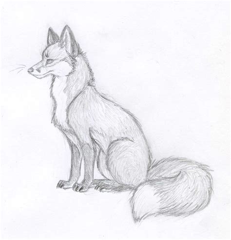 Fox Sketch - New 2012 by Vicnor on DeviantArt