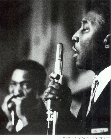 muddy waters | tomorrow started