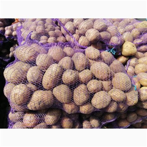 Продам картофель - "Беларосса" — Agrotorg
