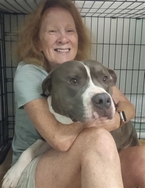 HOPE Spay Neuter Clinic - Gizmo came for a visit the other day, and she