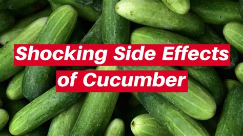 Shocking side effects of cucumber - side effects of eating too many ...