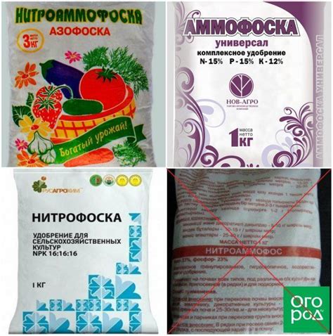 Нитроаммофоска: состав удобрения и его применение в саду и огороде ...
