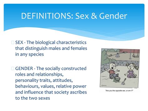 PPT - GENDER TRANSFORMATIVE HEALTH PROMOTION PowerPoint Presentation
