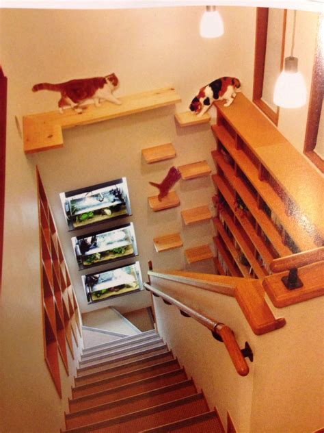 Here is a great catification idea - a climbing wall! Cat Climbing Wall ...