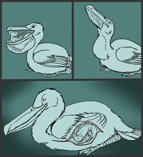 Vaginal vore comic
