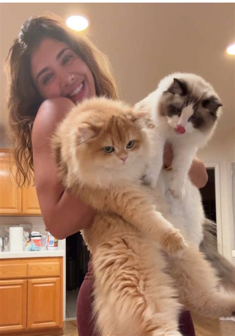 Lexi (@ohhbabyitslexi) - Urlebird