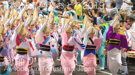 awaodori  tokushima