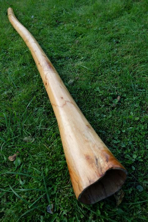 Buy Travel Compact Didgeridoo – C# Online at Best Price