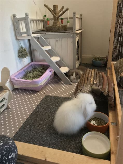 Indoor bunnies new home | Bunny room, Bunny cages, Pet bunny house