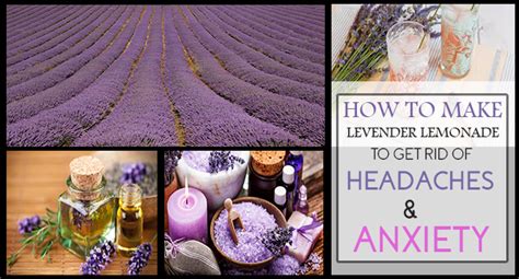 How to Make Lavender Lemonade to Get Rid of Headaches and Anxiety ...