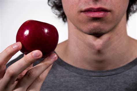 Adams Apple on Behance