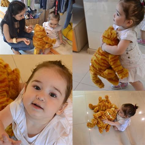 გარფილდი