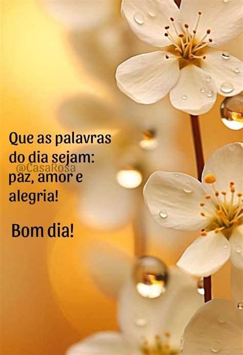 Mensagens Gratuitas De Bom Dia - Descubra 900+ ideias de Bom dia e mensagens de bom dia | mensagens ...
