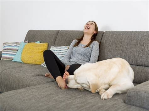 Why Does My Dog Like to Lick My Legs? 6 Reasons for This Behavior