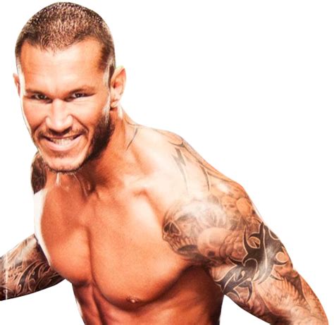 I Love WWE !: Randy Orton's picture