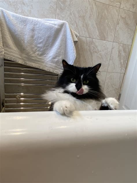 3628 best Licking images on Pholder | Self Worship, Whats Wrong With