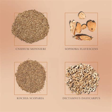 Yanail Extra Strong Fungal Nail Treatment for Toenails - Anti Fungal